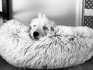 Meet your Posher, Addisyn